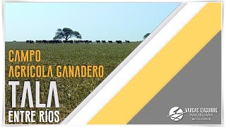 🤠 CAMPO 🌽 AGRICOLA-GANADERO 🐄 EN VENTA. 📍Las Guachas, Tala, ENTRE RÍOS - Campo MIXTO. 👩🏼🌾