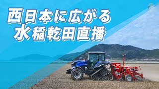 西日本に広がる水稲乾田直播