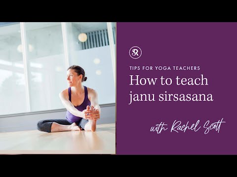 How To Teach Janu Sirsasana Tips For Yoga Teachers Students