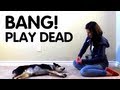 Teach dog to Play Dead! Teach dog to Play Dead!