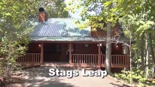 Stags Leap | Luxury 2 Bedroom | 2 Bath | Pigeon Forge Cabin