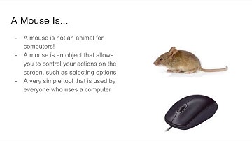 Lesson 1.1: The Mouse