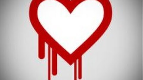 What is OpenSSL Heartbleed Bug