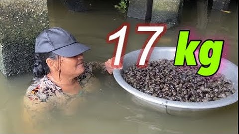 Câu cá rô đồng, gặp phải cảnh này thì thứ gì chịu nổi | Miền quê Tiền Giang