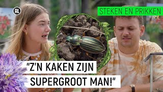 BIJTENDE KEVER HAPT HUID KAPOT!? | Steken & Prikken | seizoen 3 #4 | NPO Zapp