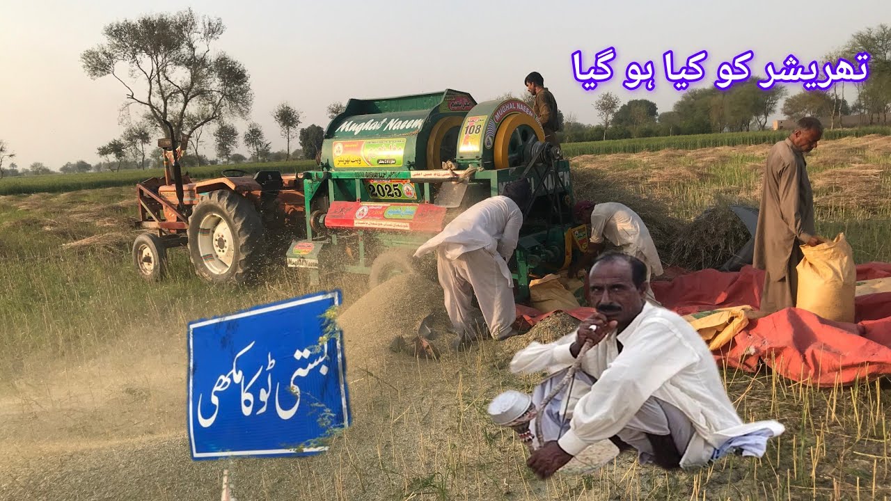 Dariya Dariya satlaj ki Jameen per raha hai ki fasal nikaalne ke liye thresher Lagi Hui Hai Mithu TV