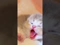 もう、無理〜😭