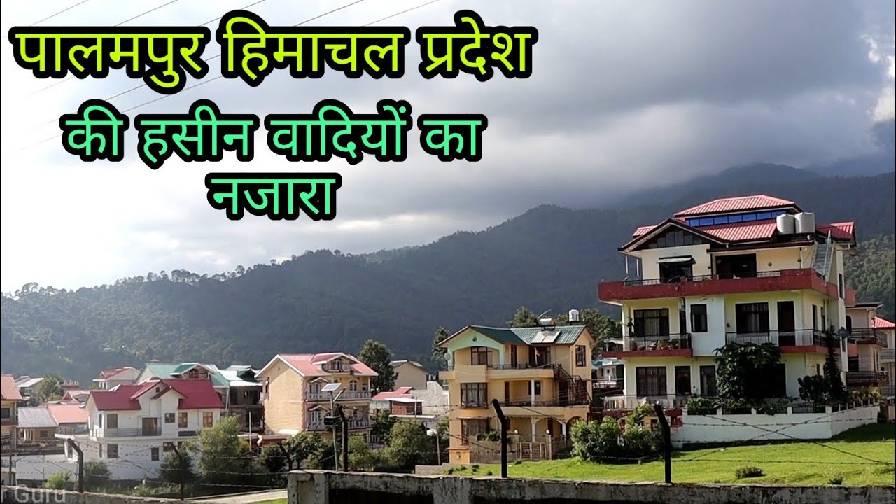 Palampur Tourism Himachal Pradesh Travel Guide, Tourist Place in