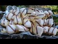 Быстрое Легкое ПЕЧЕНЬЕ ЛИМОННЫЕ ПАЛОЧКИ С ЛИМОННОЙ ГЛАЗУРЬЮ /  Easy Lemon Cookies (Soft And Chewy)