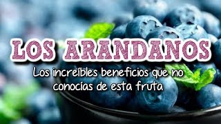 Como Aprovechar Los ARÁNDANOS Y Sus SORPRENDENTES Propiedades Curativas