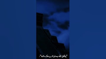 آيات بينات من الذكر الحكيم 🌺🌼