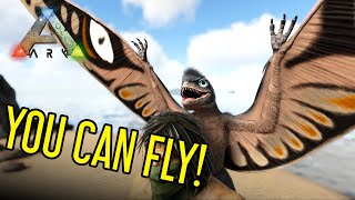 The New Best Shoulder Pet? | Sinomacrops Guide | Ark: Survival Evolved