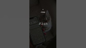 قَالَ إِنَّمَا أَشْكُو بَثِّي وَحُزْنِي إِلَى اللَّهِ _ اسلام صبحي _ سورة يوسف
