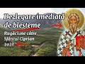 Ref:wxtmpjNZ--I Dezlegare imediat  de blesteme �n 2026   rug ciune puternic  c tre sf�ntul ciprian