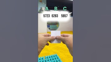 Can You Guess the Correct Number? ■ #shorts #quiz #numbergame