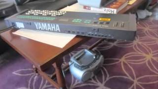 Benko Paulic Ciganko Batrne