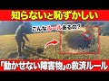 【こんなルールあるの？】動かせない障害物の近くにボールが！？そんな時の救済ルール【全ゴルファー必見】