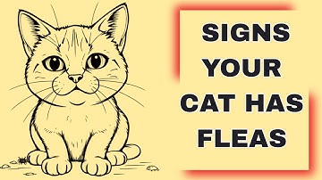 Signs Your Cat Has Fleas (Even If You Can
