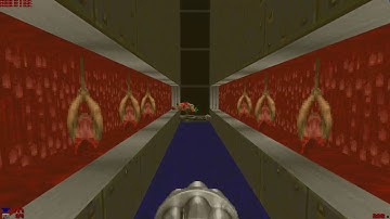 Doom wad - Pulse (level 9)