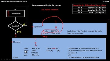 CURSO PIC16F84A BUCLE CONDICION DE TESTEO CAPT 8 PARTE 8