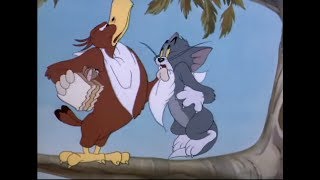 Tom and jerry english episodes 021 ...