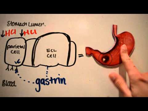 Proton Pump Inhibitors (PPIS)