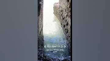 ألم ترَ إلى ربك كيف مدَّ الظل | تلاوة خاشعة للشيخ عبد العزيز سحيم.