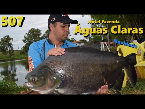 Hotel Fazenda Águas Claras - Pescaria com peixes bravos demais - Fishingtur 507
