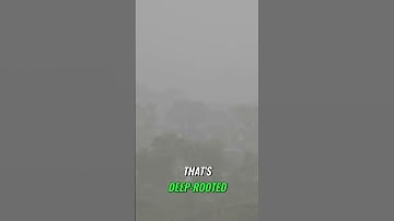 Unshakable Faith: Navigating Life