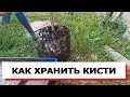 КАК ХРАНИТЬ КИСТОЧКИ ПОСЛЕ ПОКРАСКИ