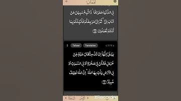 Surah Luqman ( سورة لقمان ) Ayat 16 - 17 By Shaykh Abdul Rehman Alsudais