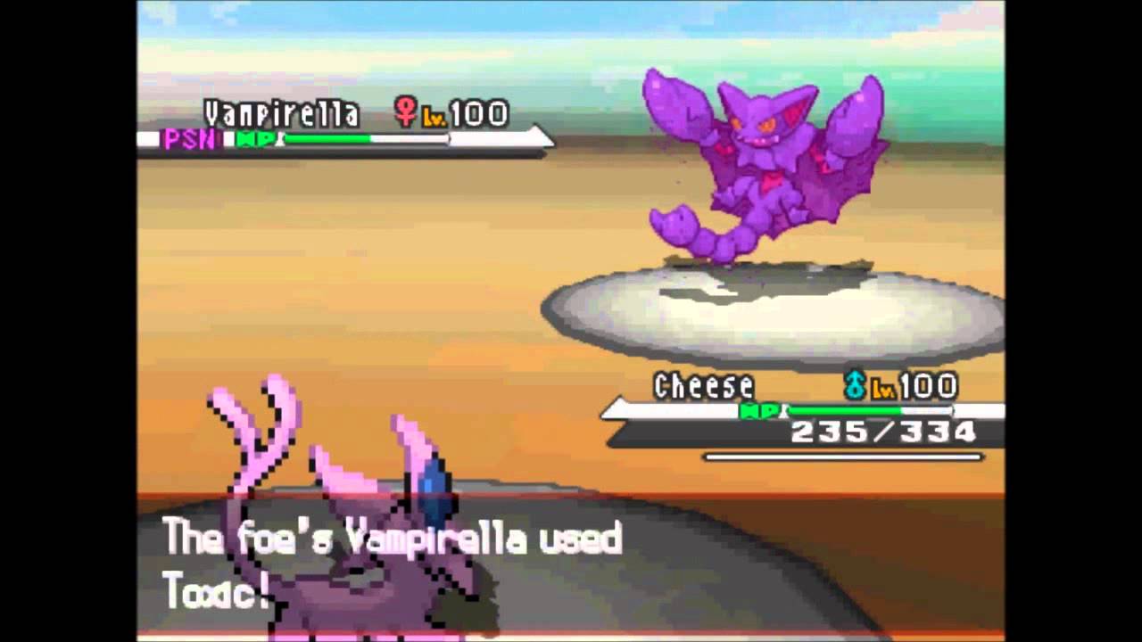 Pokemon BW WiFi Battle 