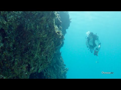 Protecting Cayman's Coral Reefs | Dispatches