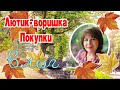 Лютик-воришка.Мои покупки.Готовлюсь к Новому Году.ВЛОГ.