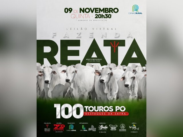 Leilão Virtual Fazenda Reata 