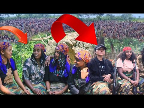 Lollee Injifanna Jedhe Jaal Marroon