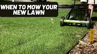 First Mow: Timing Tips for Your Newly Seeded Lawn