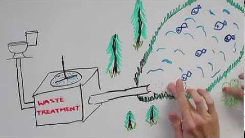 Constructed Wetlands for Wastewater Treatment