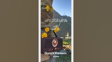 قرآن كريم استمع الشيخ رعد الكردي 📿تلاوة جميلة جدا💚🧡2025
