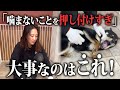 【知らないと後悔】噛まないを教える時に意識すべきこと