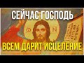 СЕЙЧАС ГОСПОДЬ ВСЕМ ДАРИТ ИСЦЕЛЕНИЕ! УСПЕЙ ПРОЧЕСТЬ!