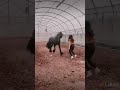 اجمل حالات واتساب بنات روووعة اقبل على الغالي معك العمر يحلالي ستوريات 2022 اجمل حالات واتساب بنات روووعة اقبل على الغالي معك العمر يحلالي ستوريات 2022