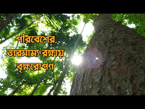 ভিডিও: কেন প্রকৃতির ভারসাম্য গুরুত্বপূর্ণ?