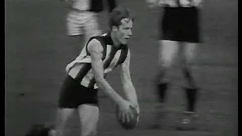 The Collingwood Player Archive: Lee Adamson 1966 t...
