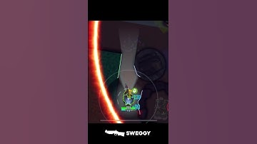 Crazy Sweggy attempt goes bad - PART 2 🐺 (BULLET ECHO)