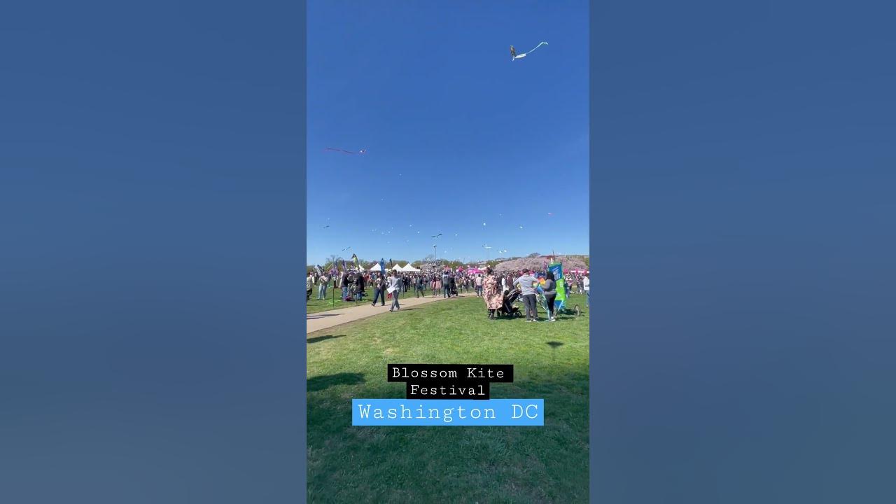 Blossom Festival Blossom Kite Festival Washington DC YouTube