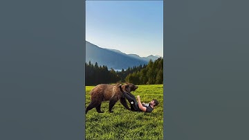 How to survive a grizzly bear