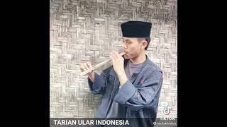 Story Wa Tarian Ular India Vs Tarian Ular Madura