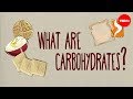 How do carbohydrates impact your health  richard j wood