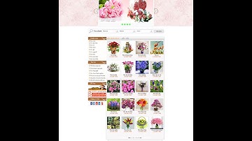 Hướng dẫn Thiết kế giao diện website đẹp bằng HTML5 và CSS3 (Bài 1-Shop hoa tươi)(P2)